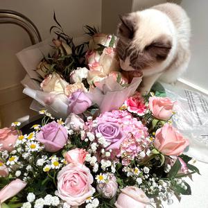 中文字幕一区三区久久女搜查官
